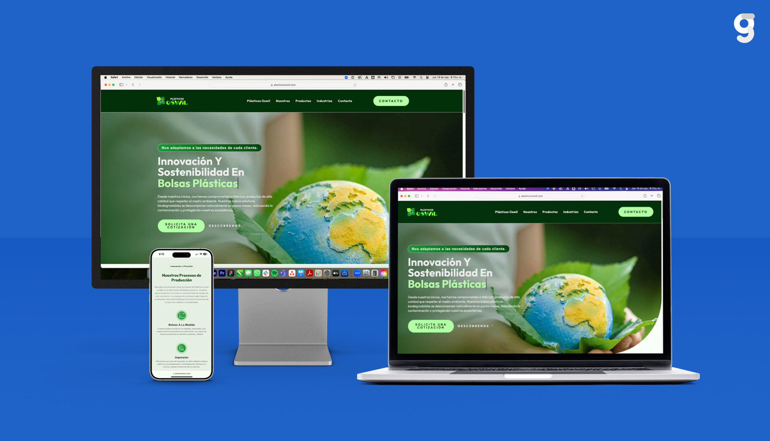 A complete brand system and live WordPress site that positions Plásticos Oswil as a premium B2B packaging supplier — ready to compete in Venezuela and export markets.