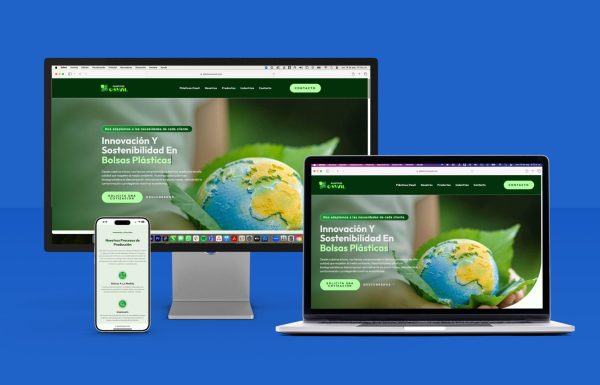 A complete brand system and live WordPress site that positions Plásticos Oswil as a premium B2B packaging supplier — ready to compete in Venezuela and export markets.